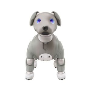 Puppy leash blue